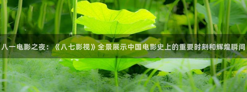红桃在线免费播放：八一电影之夜：《八七影视》全景展示中国电影史上的重要时刻和辉煌瞬间