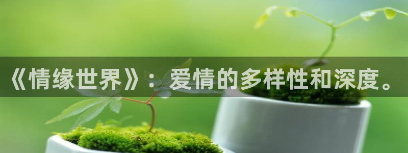 eeuss红桃影院：《情缘世界》：爱情的多样性和深度。