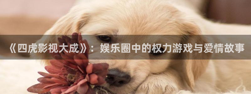红桃影院电视剧免费观看