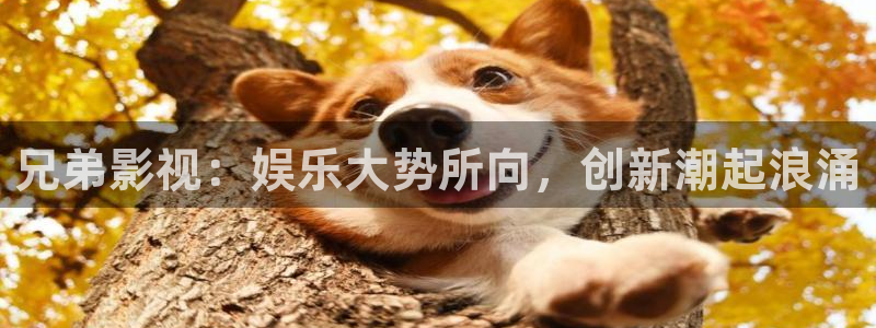 免费日韩电影红桃视频