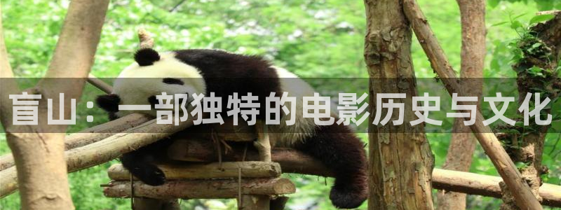 .红桃视频
